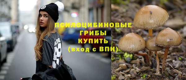 эйфоретик Абаза